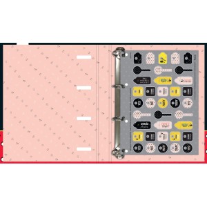 FICHÁRIO UNIVERSITÁRIO COM ELÁSTICO MINNIE REF.6872 FORONI